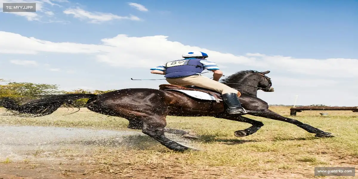 开云官网——🏀🌀 背后妙传，灵蛇吐信！